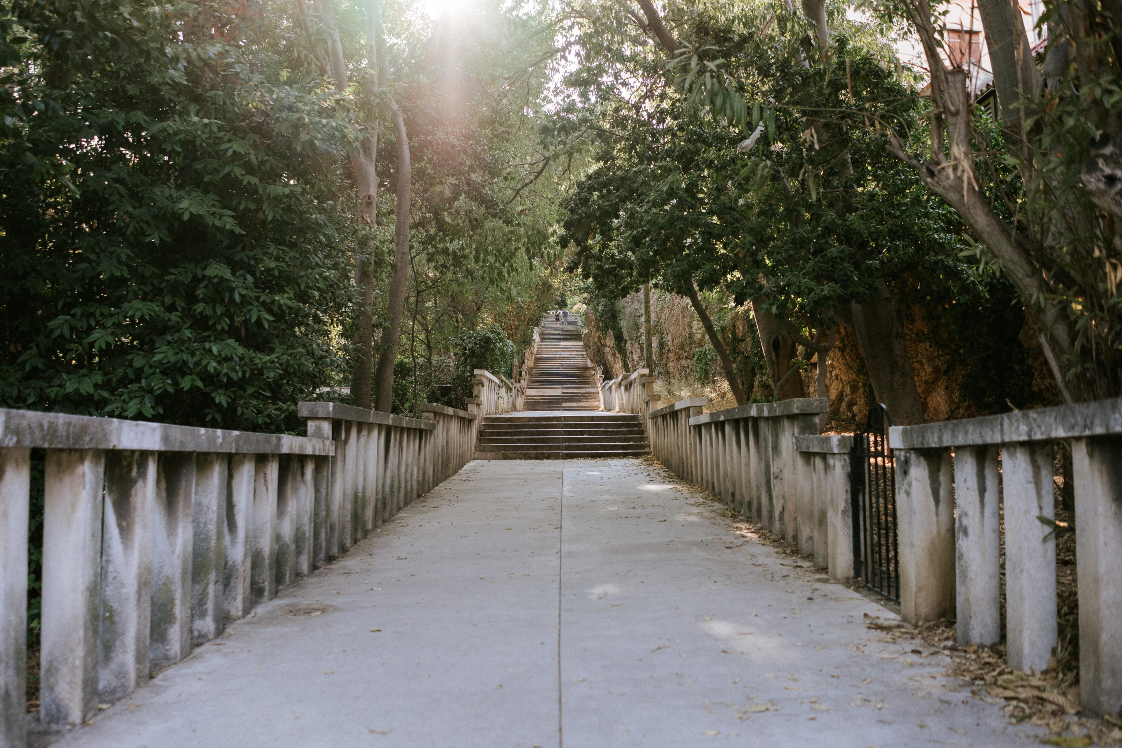 Concrete pathway wooden fence