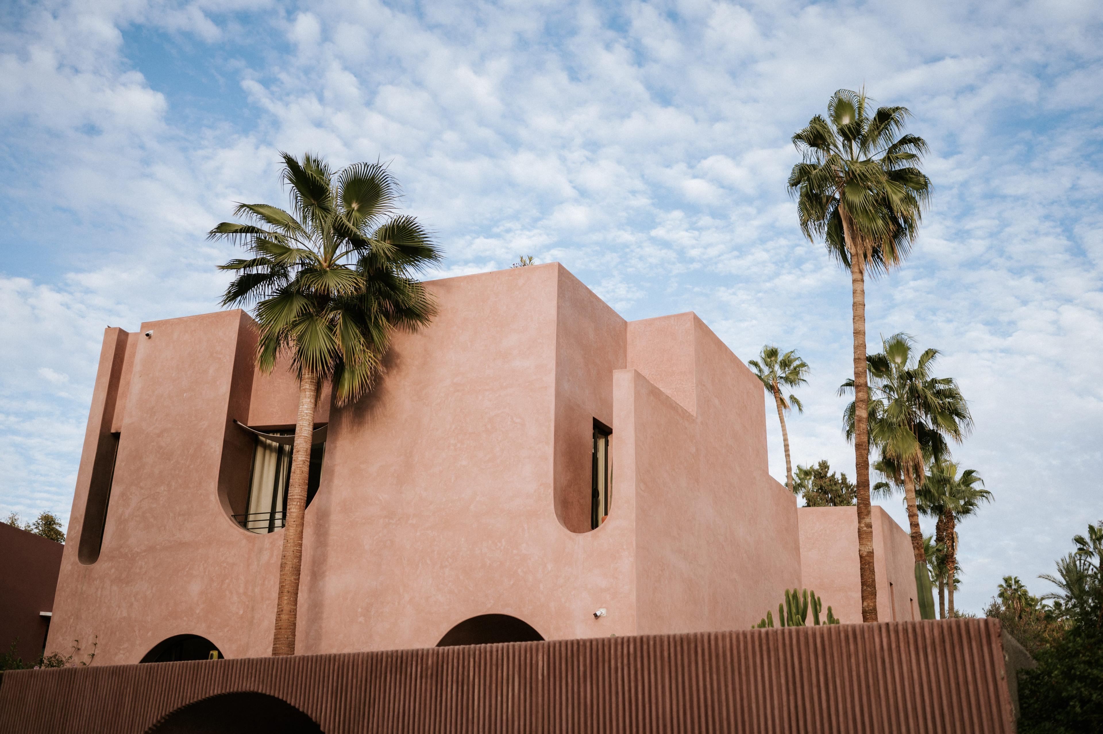 Majorelle gardens palm trees building