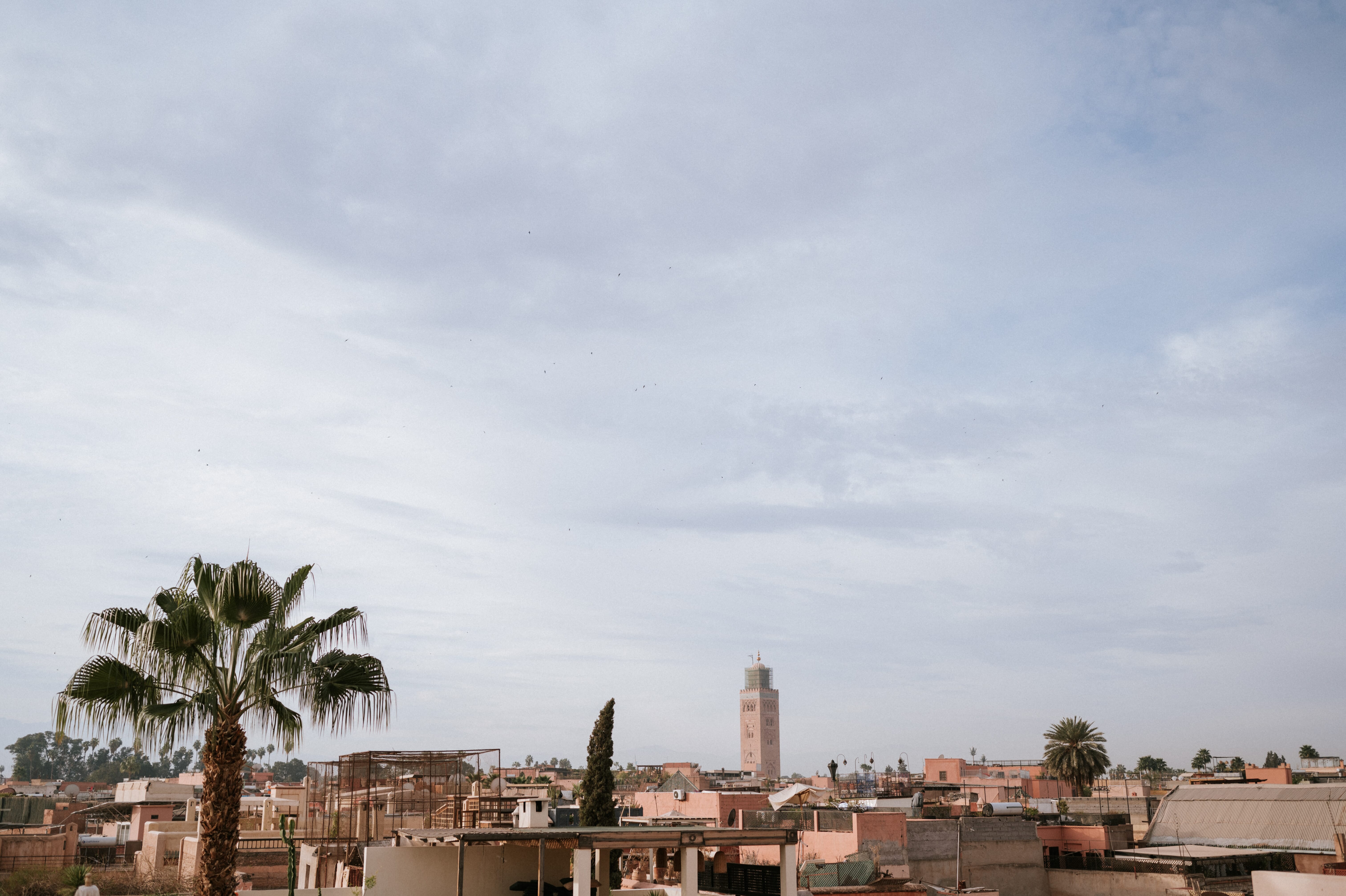 Majorelle Gardens and Barometre: A Day in Marrakech